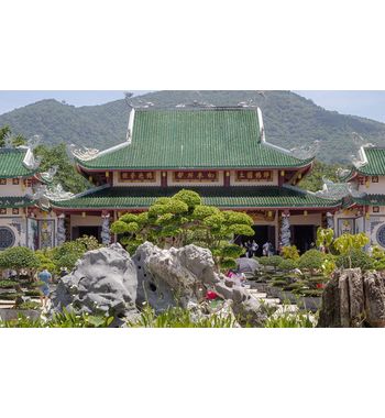 Дананг из Ташкента!